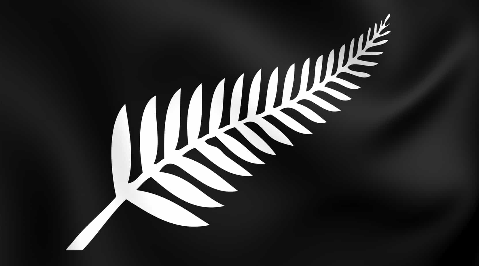 Read more about the article A glimmer of hope for the Kiwis……